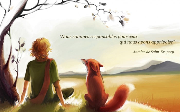 Antoine saint exupery-Text Artistic Design Fondo de escritorio HD Vistas:8438