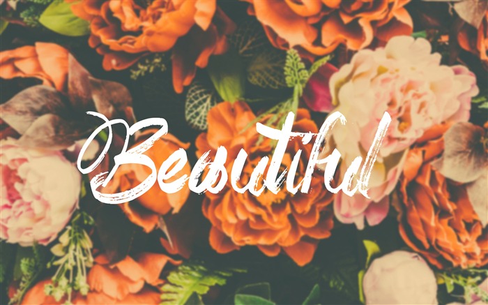 Beautiful flower-Text Design Artístico HD Wallpaper Visualizações:8049