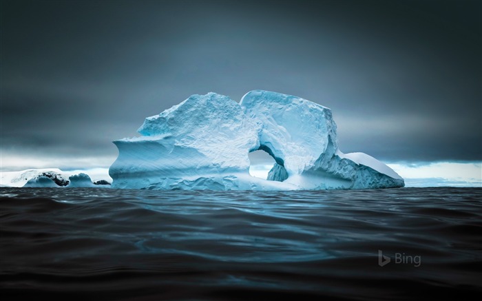 Cierva Cove en la Península Antártica-2016 Bing Desktop Wallpaper Vistas:8409