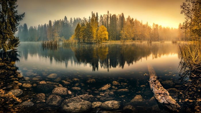 Dawn automne forêt lac-Nature Paysage Fond d'écran Vues:18358