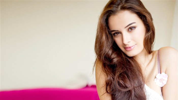 Evelyn Sharma-actriz modelo foto fondo de pantalla Vistas:7091