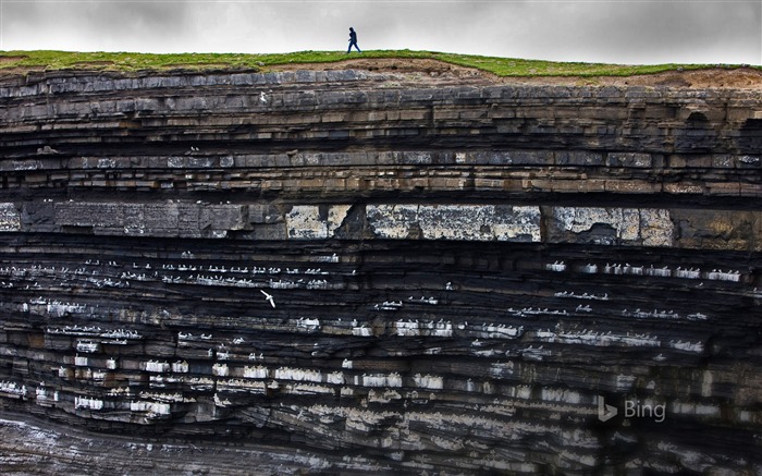 Irlanda Colonia de gaviotas tridáctilas en los acantilados-2016 Bing Desktop Wallpaper Vistas:6772