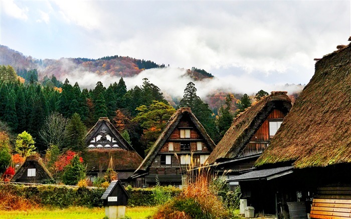 Japan shirakawa houses mountains trees-World Travel HD Wallpaper Views:10214 Date:2016/12/22 6:49:04