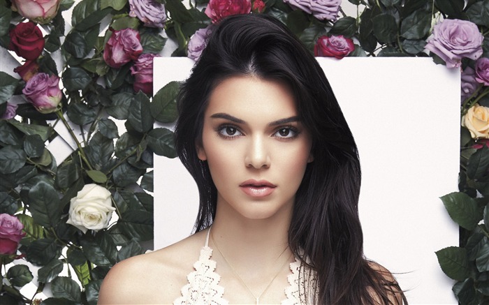 Kendall Jenner-2016 Beleza HD Papel de Parede de Poster Visualizações:8530