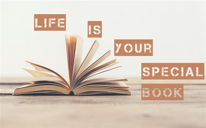 La vida es tu libro especial-Text Artistic Design HD Wallpaper Vistas:7142