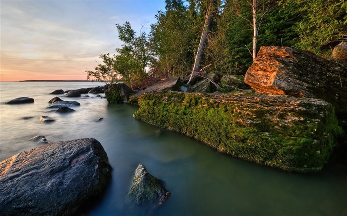 Rocks coast moss water trees-Nature High Quality HD Wallpaper Views:8896 Date:2016/12/10 22:29:58