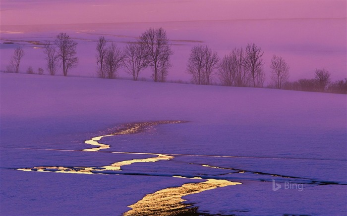 Puesta de sol en un campo cubierto de nieve en Suiza-2016 Bing Desktop Wallpaper Vistas:6651