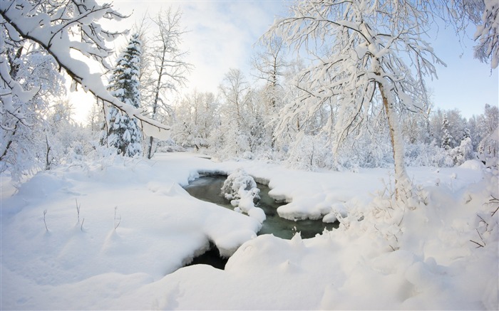 阿拉斯加森林雪-冬季风景高清壁纸 浏览:10290