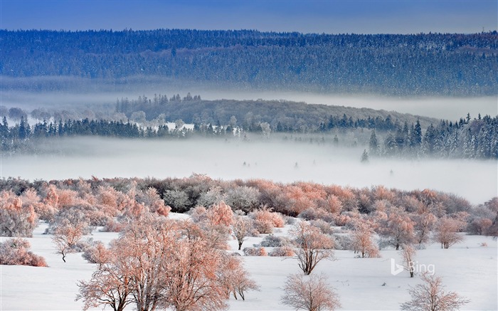 Alemania Eifel National Park-2017 Bing Fondos de Escritorio Vistas:7175