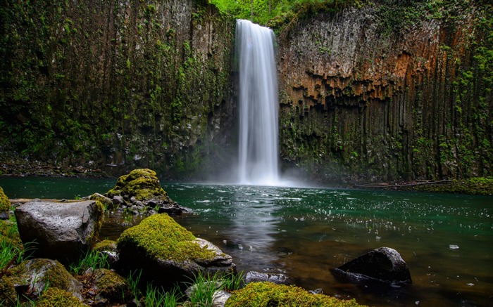 Rocks covered green moss near waterfalls-2016 Scenery High Quality Wallpaper Views:9453 Date:2017/1/3 7:45:07