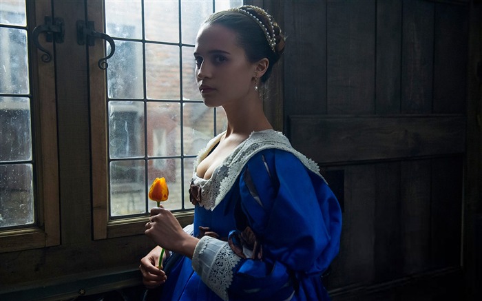 Alicia vikander tulip fever-2017 Película fondo de pantalla HD Vistas:7047