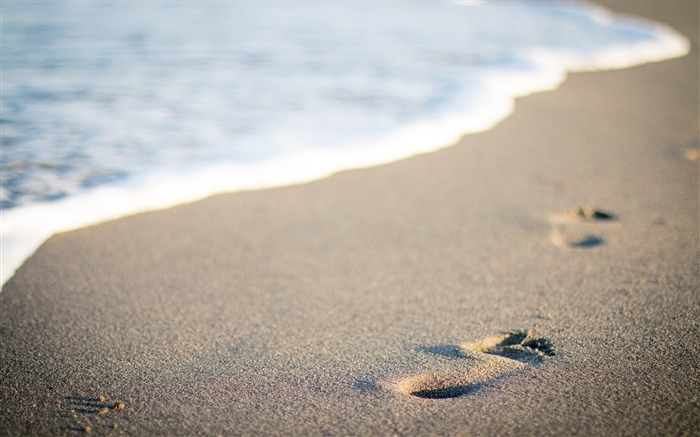 Água de praia areia passos de papel de parede de alta qualidade Visualizações:9320