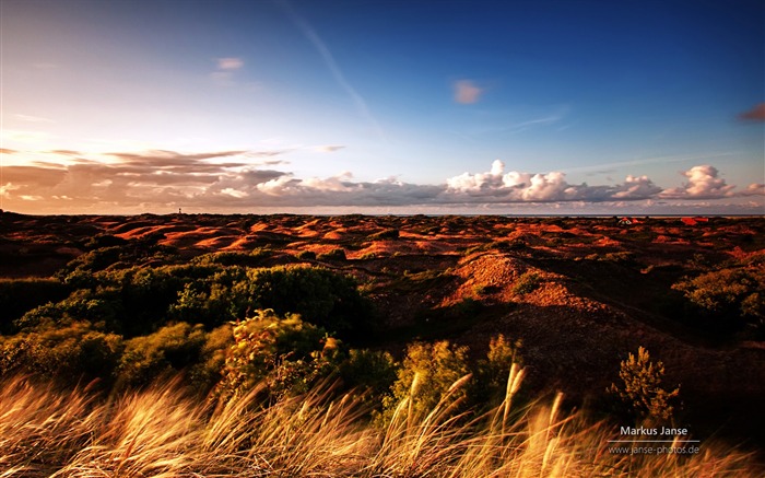 Alemania Spiekeroog Island Nature Landscape Wallpaper 02 Vistas:6326