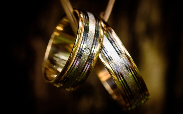 Anillo de pareja de plata y oro-Life Close-up Photo HD Wallpaper Vistas:7298