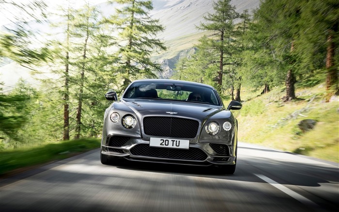 Bentley Continental-Brand Car 2017 HD fondo de pantalla Vistas:6285