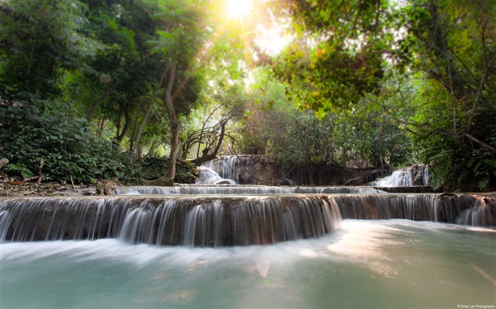 Floresta Waterfall-Windows 10 Desktop Wallpaper Visualizações:13708