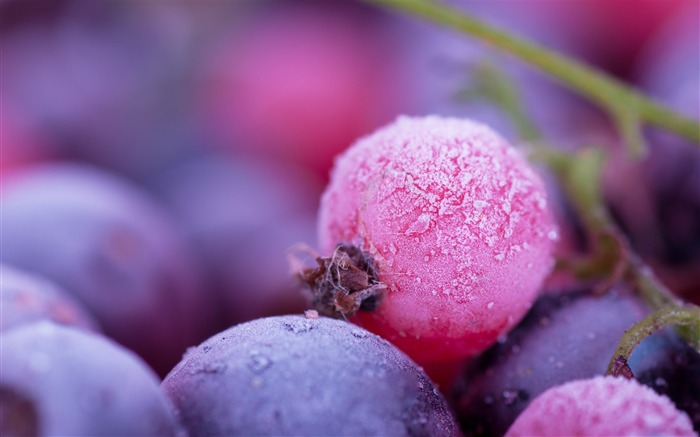 Fruit grapes harvest season theme wallpaper Views:28793