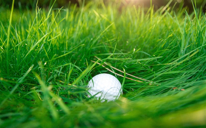 Balle de golf herbe verte-2017 Fond d'écran haute qualité Vues:8999