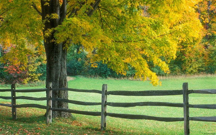 Fondo de pantalla de paisajes de la naturaleza rurales de Vermont-Country Vistas:10387