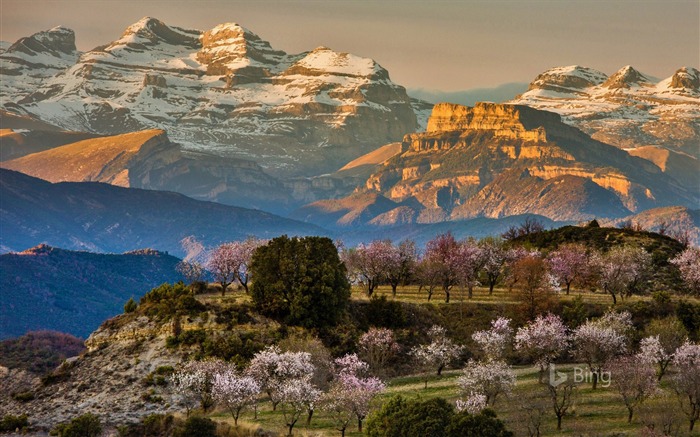 Printemps près du village Espagne-2017 Bing Fonds d'écran Vues:9178