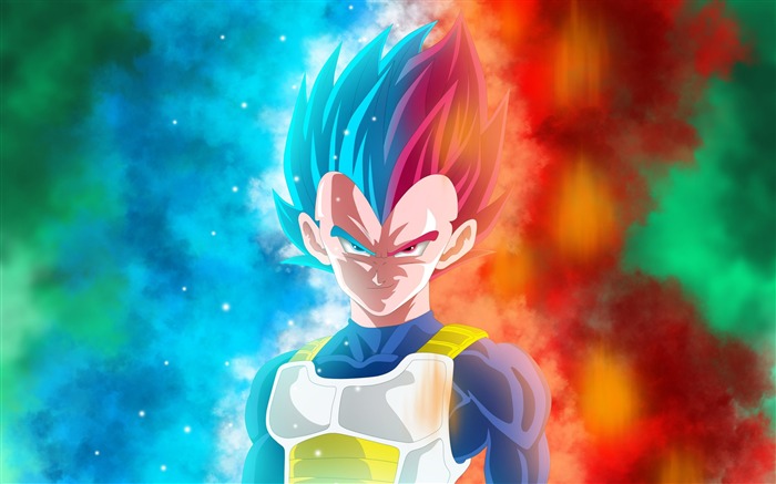 Vegeta Dragon Ball Super Anime Design HD Wallpaper Views:17461 Date:2017/3/30 8:07:32