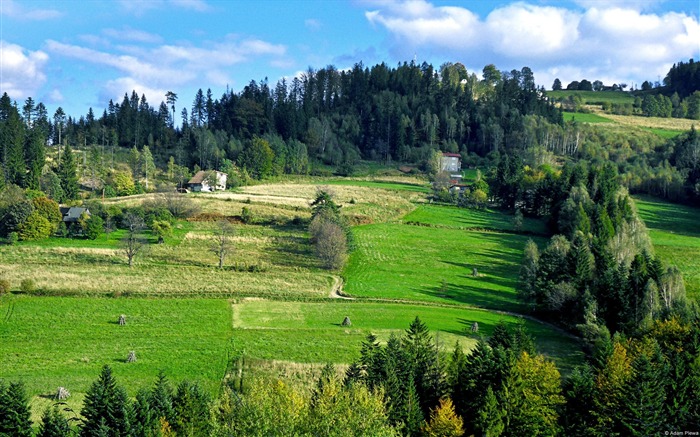 Fondo de pantalla de Paisaje de la naturaleza de país de Wislacity Polonia Vistas:12668