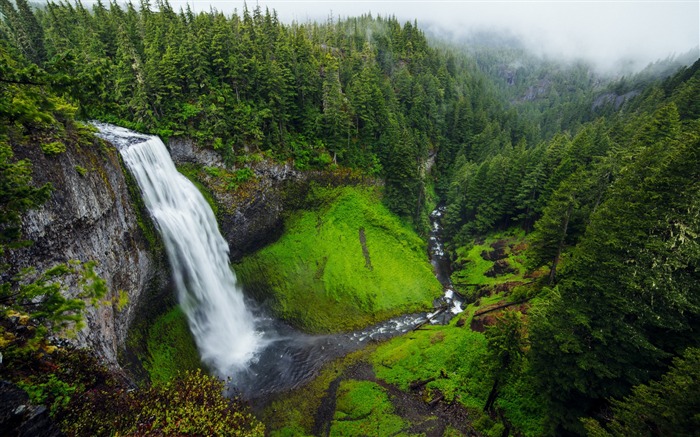 Cachoeira floresta árvores sereno-Cenário Papel de parede de alta qualidade Visualizações:8436