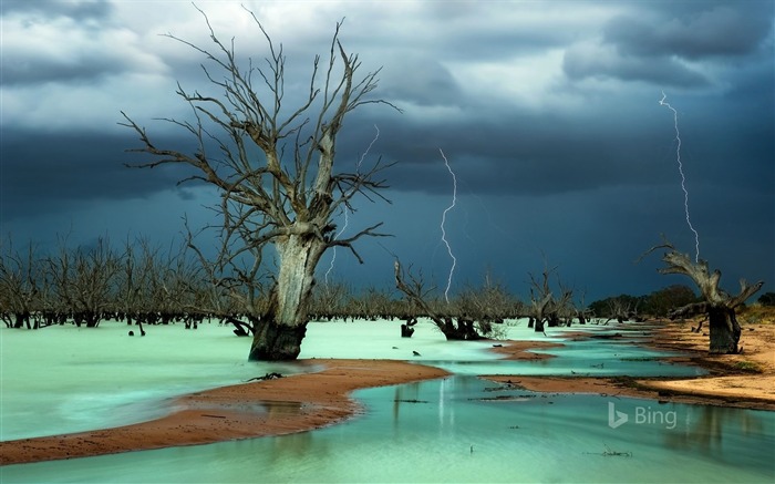 Australia Nueva Gales del Sur Menindee Lakes-2017 Bing Fondos de Escritorio Vistas:8268