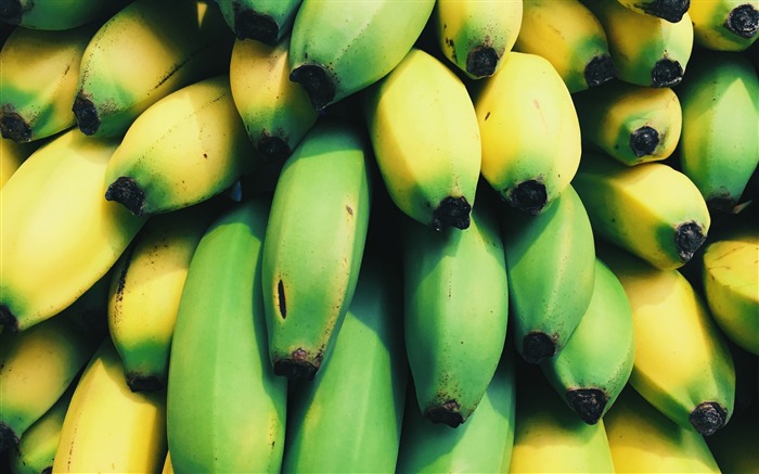 Bananas fruits many-Food Theme HD Wallpaper Views:6903 Date:2017/4/18 6:08:31