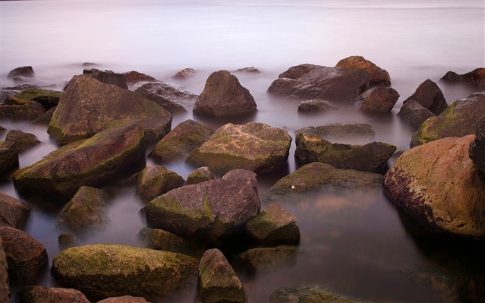 Beach stone closeup-Nature landscape fondo de pantalla Vistas:7203