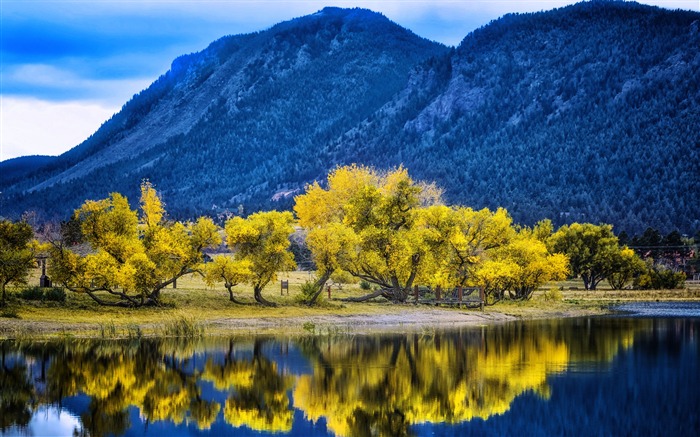 Automne arbres jaunes réflexion palmer lac-Paysage HD Fond d'écran Vues:10001