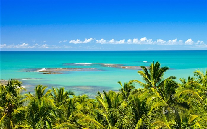 Brésil Mirror Beach près de Trancoso-2017 Bing Fonds d'écran Vues:9864