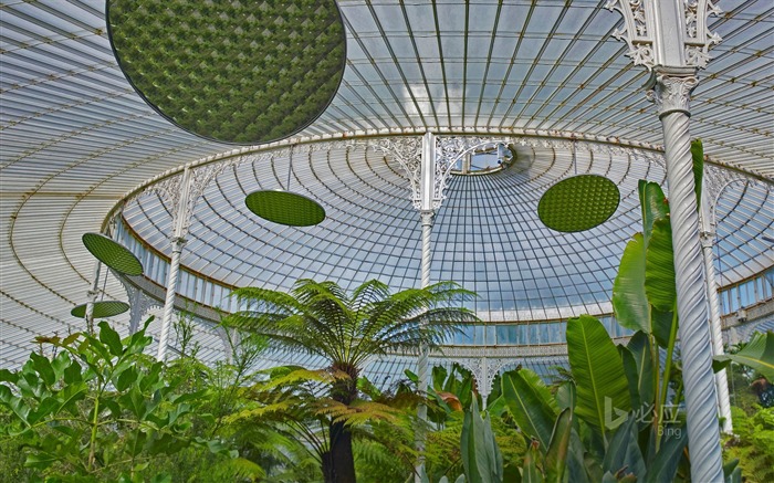 Parc Glasgow de verre à effet de serre de la Reine britannique-2017 Bing Fonds d'écran Vues:10168