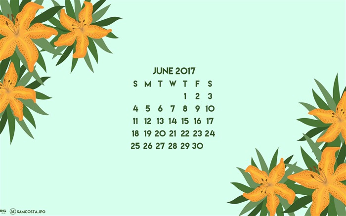 Fondo de pantalla de Flower Of Adversity-June 2017 Calendar Vistas:7147