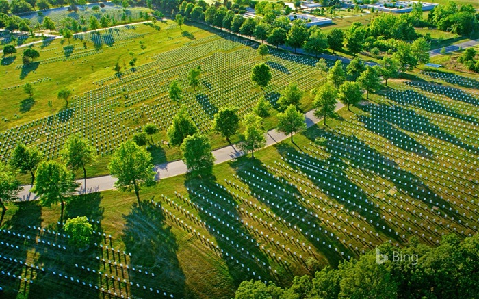 Arlington National Cemetery in Virginia-2017 Bing Desktop Wallpaper Views:8439 Date:2017/6/14 8:20:45