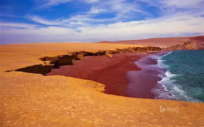 Playa Roja dans la réserve nationale de Paracas, Pérou-2017 Bing Fonds d'écran Vues:10754