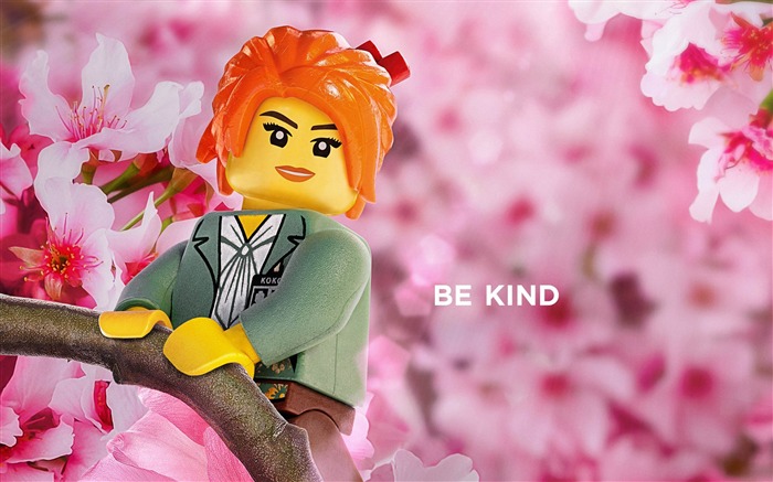 Misako be kind ninjago-Le fond d'écran Lego Batman 2017 Vues:6243