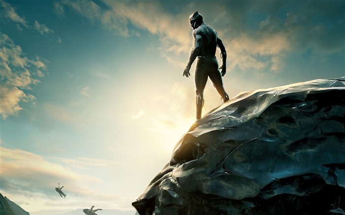 Black Panther-2017 Movie HD Wallpaper Vistas:14469