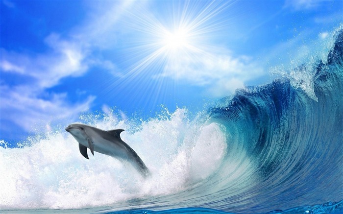 Dolphin ocean waves-2017 Animal HD fondo de pantalla Vistas:9651