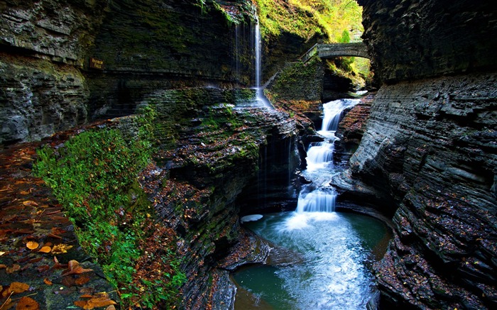 Parque de estado de Watkins Glen do desfiladeiro de musgo falls-Scenery HD Wallpaper Visualizações:8589