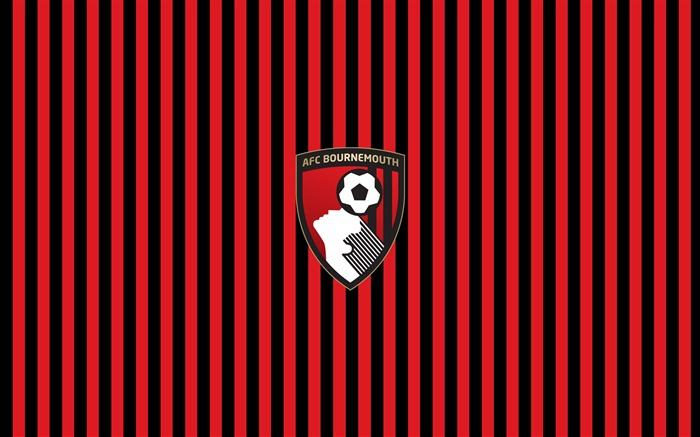 AFC Bournemouth-European Football Club fondo de pantalla HD Vistas:8185