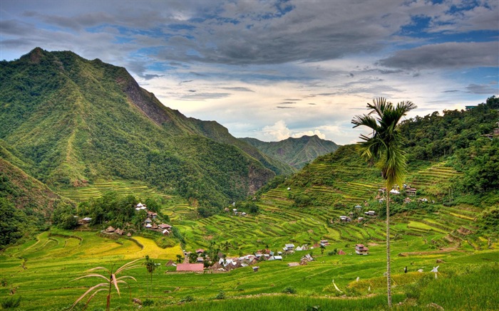 Terrazas de arroz de Banaue Filipinas-National Geographic fondo de pantalla Vistas:10051