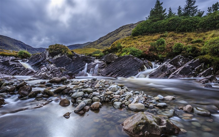 Hermosos arbustos río flujo-2017 Naturaleza fondo de pantalla HD Vistas:6502