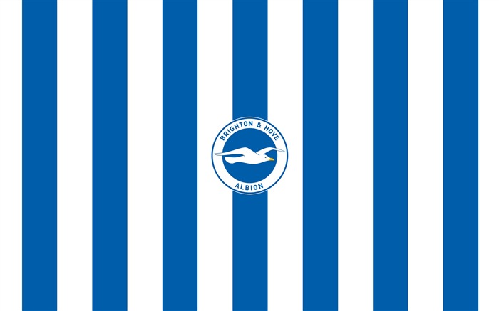 Brighton Hove Albion FC-European Football Club fondo de pantalla HD Vistas:14592