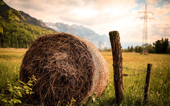 Papéis de Parede de paisagens da natureza Best Seasons Visualizações:31385