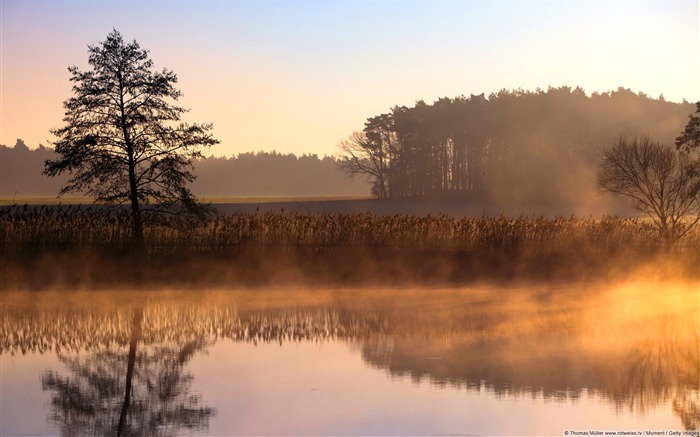 Morning mist-2017 Windows 10 Wallpaper Views:7063 Date:2017/9/16 6:05:46