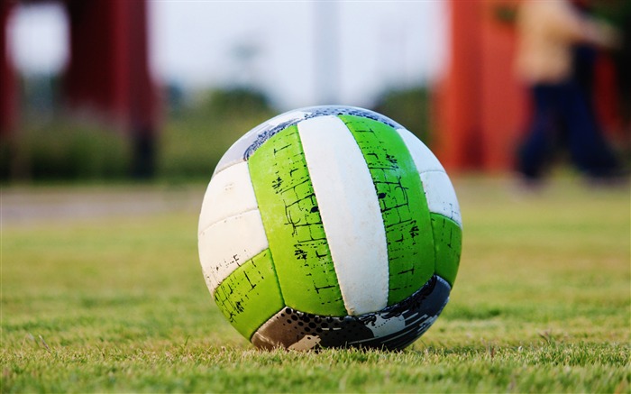 Balón de fútbol verde hierba-Fondo de pantalla de alta calidad Vistas:6417