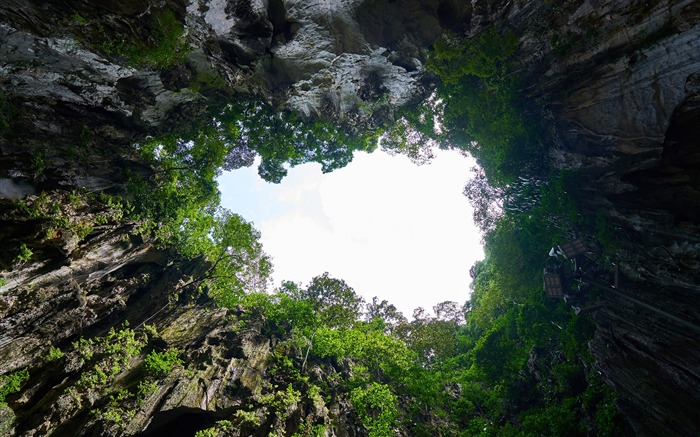 Paysage de la forêt grotte Malaisie Fond d'écran Nature Vues:10960