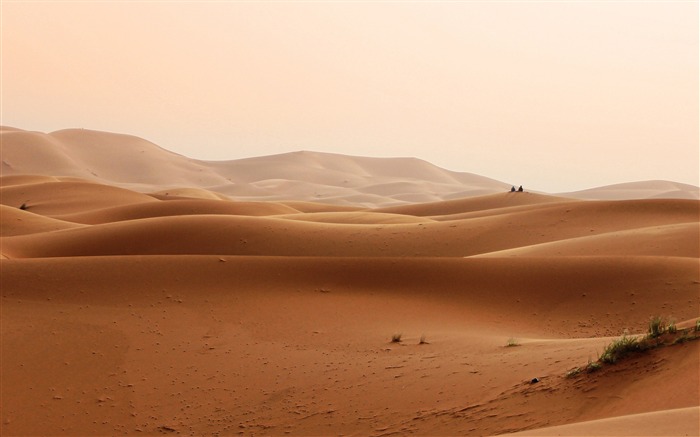 Sable du désert actrice HD Fond d'écran Vues:11527