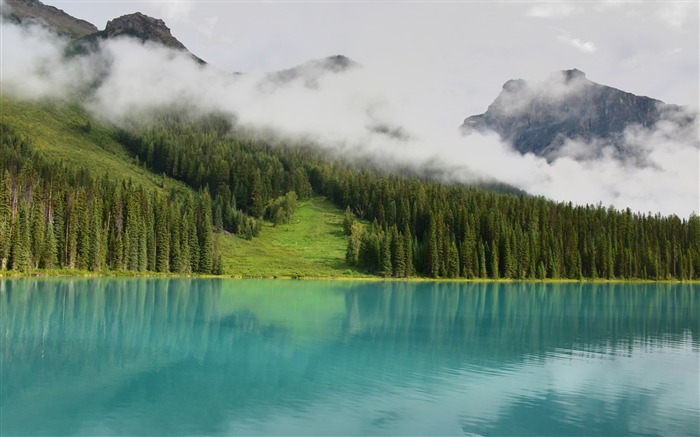 Forêt lac paysage ciel été Fond d'écran Nature Vues:11426